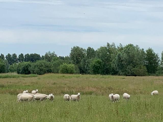 B&B Petit Chateau - Stijlvol Verblijf Centraal Gelegen In Zeeuws Vlaanderen Biervliet Esterno foto